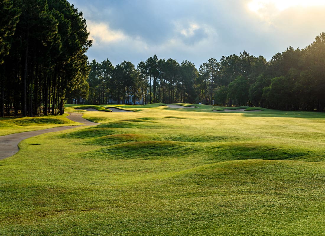 Contact - Golf Course Surrounded by Pine Trees on a Cloudy Day